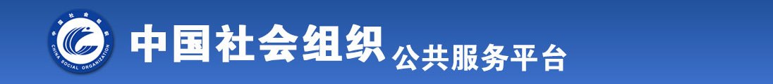 欧美操b全国社会组织信息查询